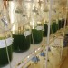 Microalgal Culture Workshop Postponed