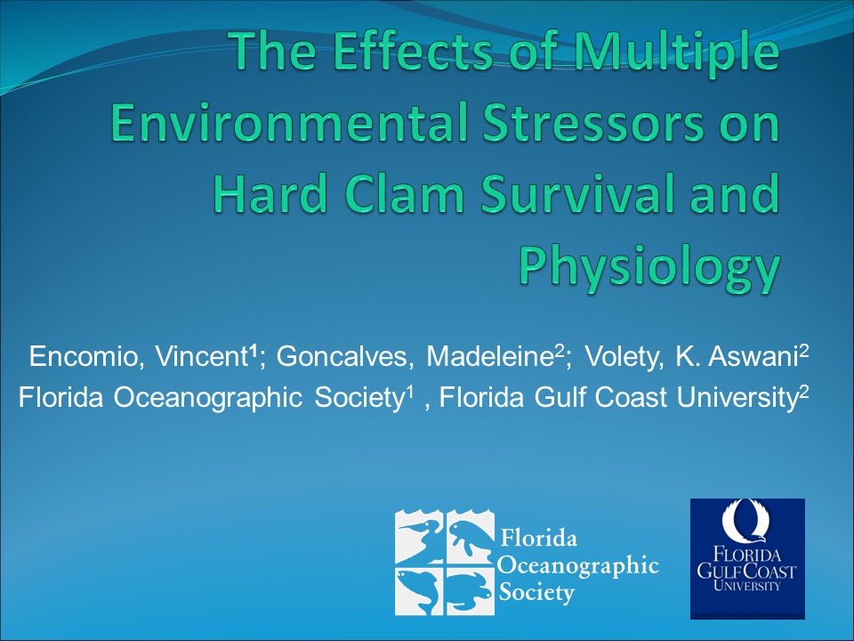 The Effects of Multiple Environmental Stressors on Hard Clam Survival and Physiology PICTURE