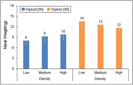 Graph 3