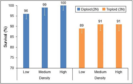 Graph 4