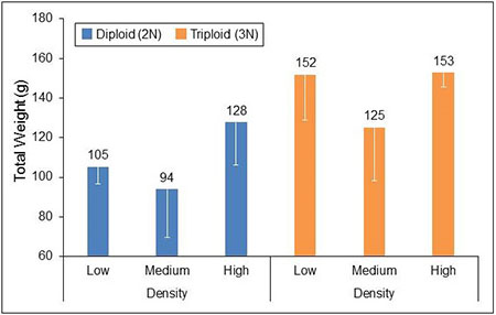 Graph 2