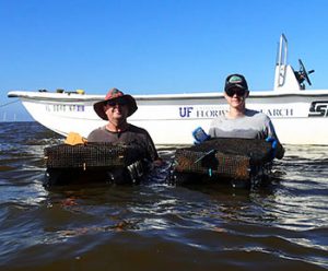 Oyster growers