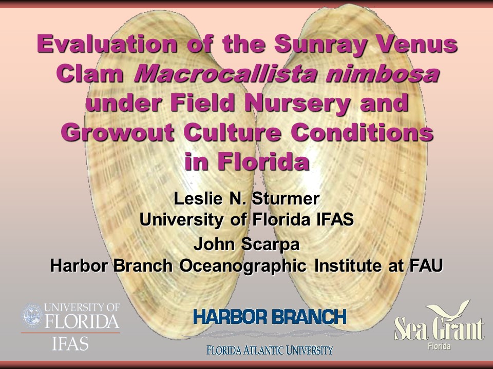 Evaluation of the Sunray Venus Clam Macrocallista nimbosa PICTURE