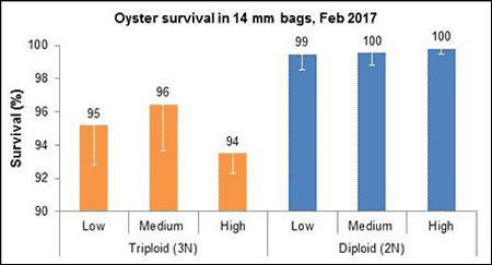 Survival graph