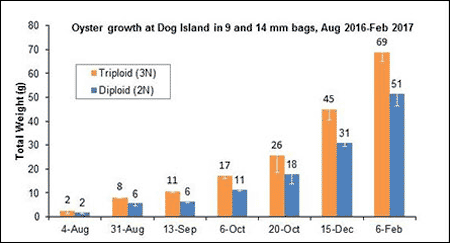 weight graph