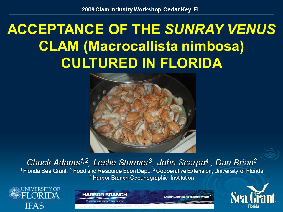 Acceptance of the Sunray Venus Clam Macrocallista nimbosa PICTURE