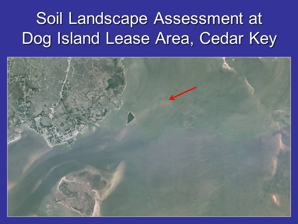 Soil Landscape Assessment at Dog Island Lease Area, Cedar Key PICTURE