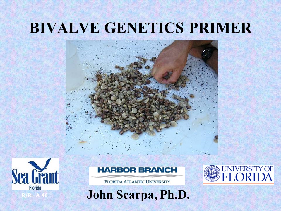 Bivalve Genetics Primer PICTURE
