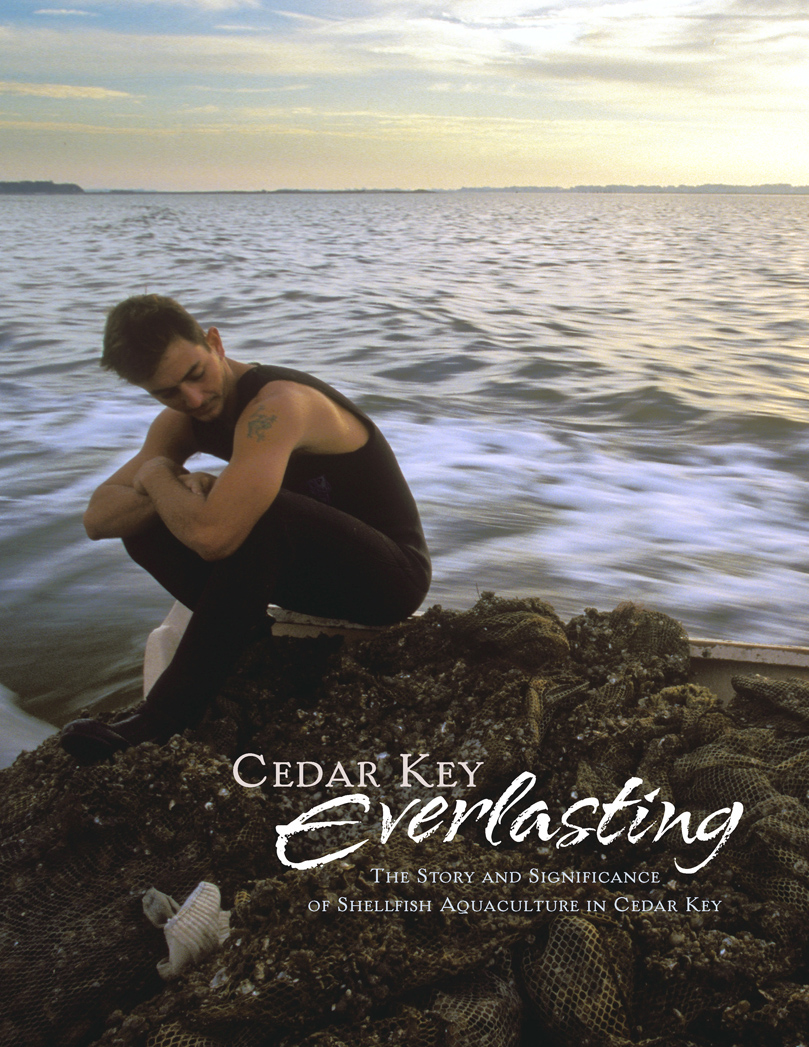 Cedar Key Everlasting