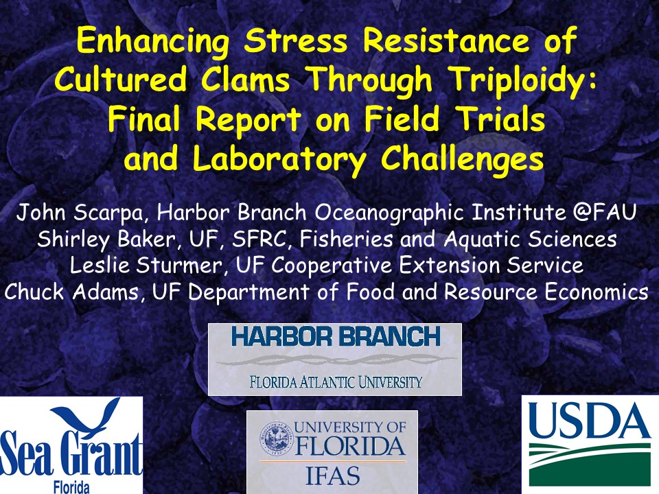 Enhancing Stress Resistance of Cultured Clams Through Triploidy: Final Report on Field Trials and Laboratory Challenges PICTURE