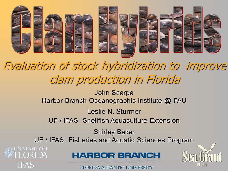 Evaluation of Clam Stock Improvement Through the Use of Hybridization PICTURE