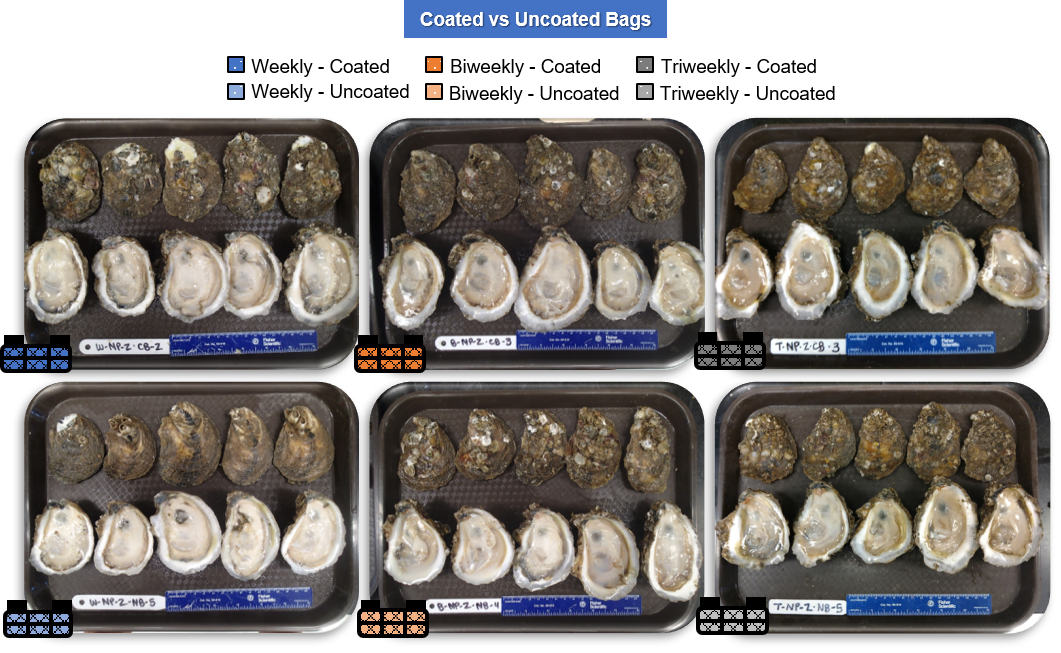 Biofouling Control - Florida Shellfish Aquaculture Online Resource Guide