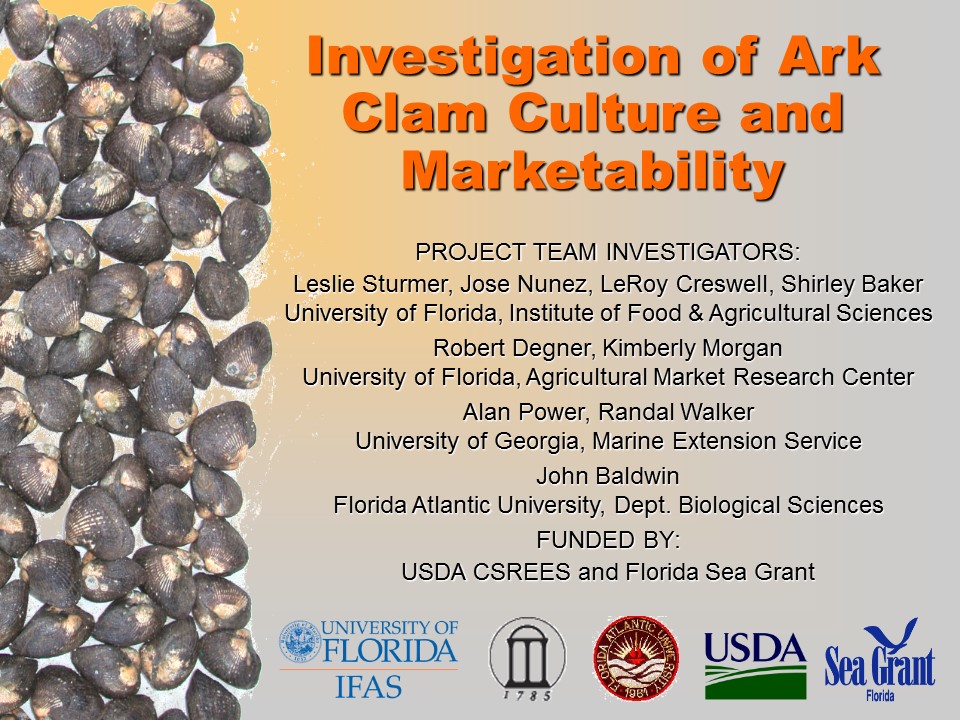 Investigation of Ark Clam Culture and Marketability PICTURE