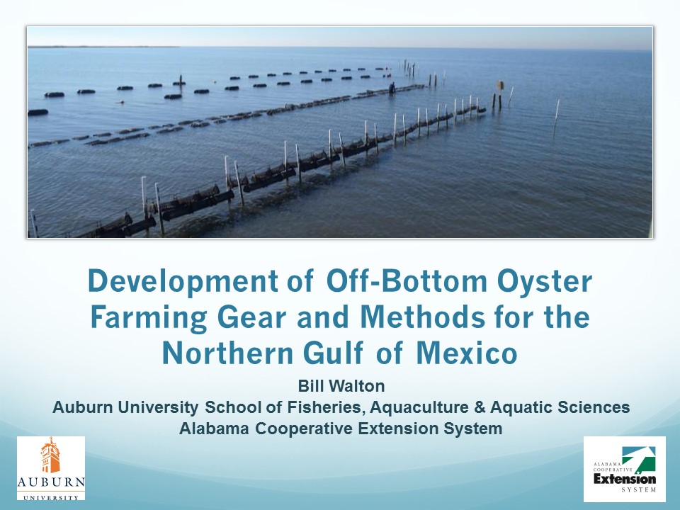 Off-bottom Oyster Culture Developed for the Gulf of Mexico PICTURE