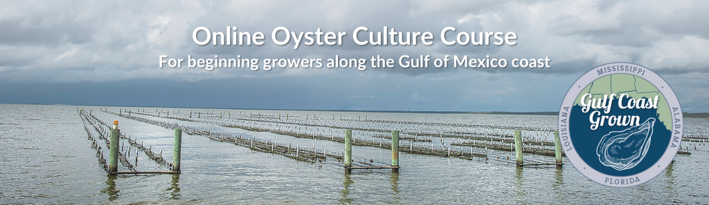 OysterGro - Florida Shellfish Aquaculture Online Resource Guide