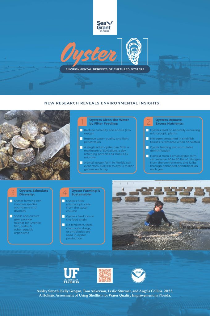 Oysters-Environmental-Benefits