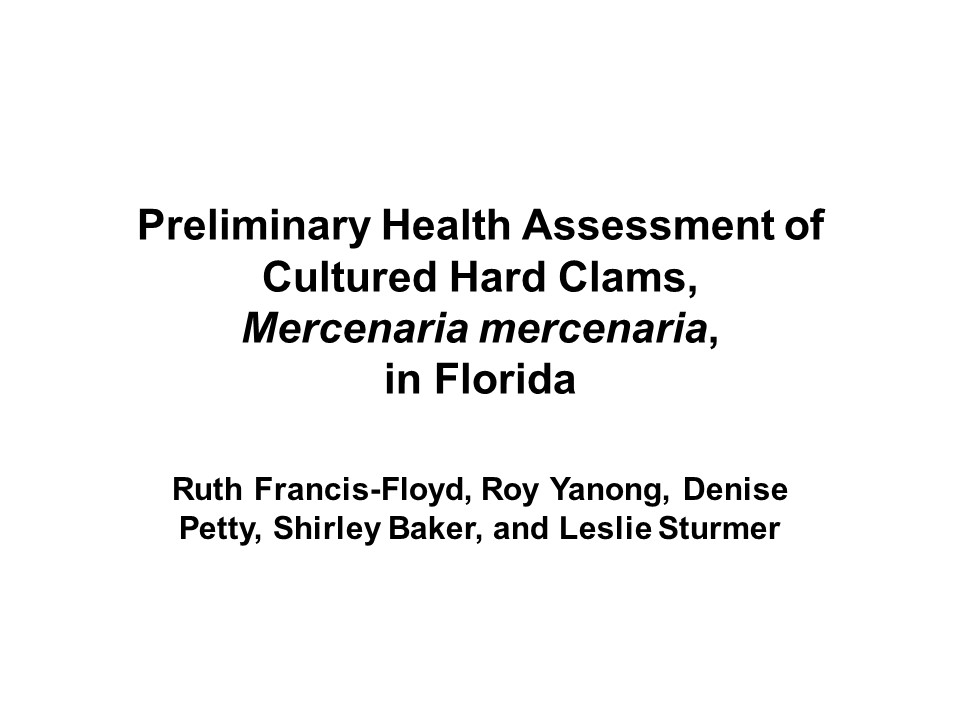 Preliminary Health Assessment of Cultured Hard Clams,<br /> <em>Mercenaria mercenaria PICTURE