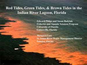 Red green and brown tides in IRL_presentation PICTURE