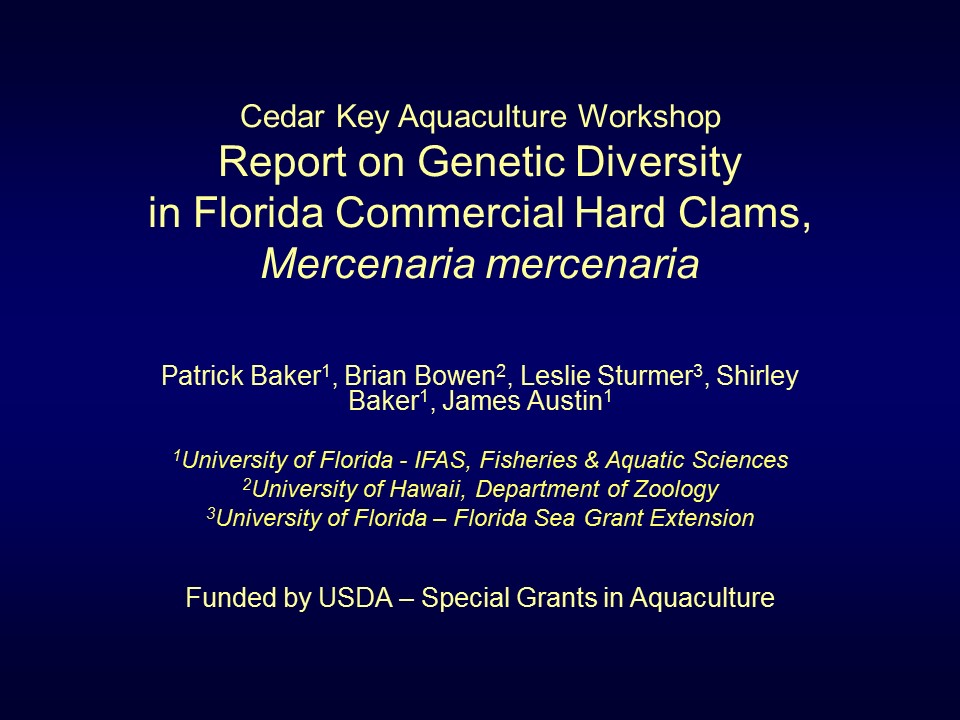 Report on Genetic Diversity in Florida Commercial Hard Clams,<br /> <em>Mercenaria mercenaria PICTURE