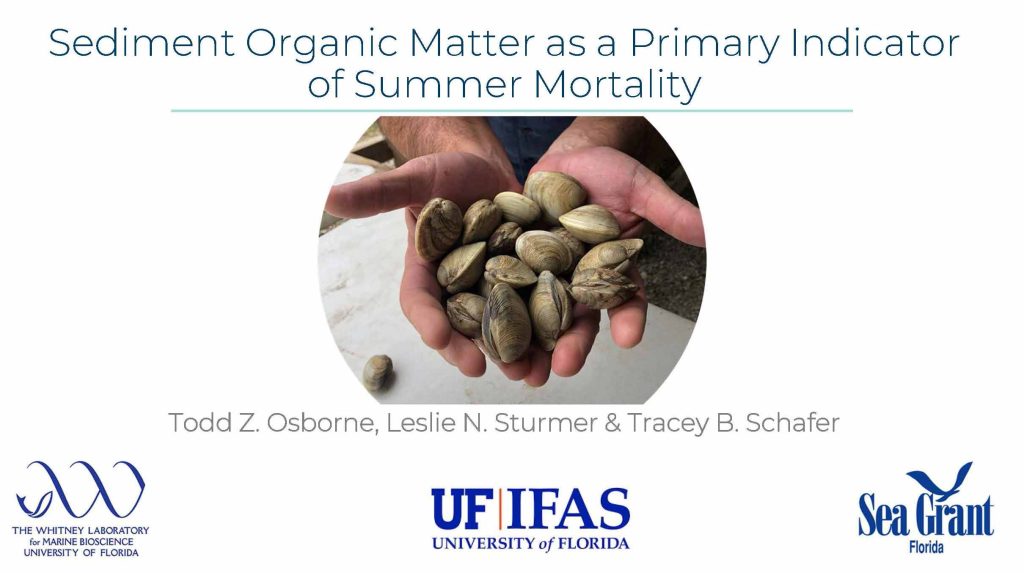 Sediment Organic Matter on Clam Leases