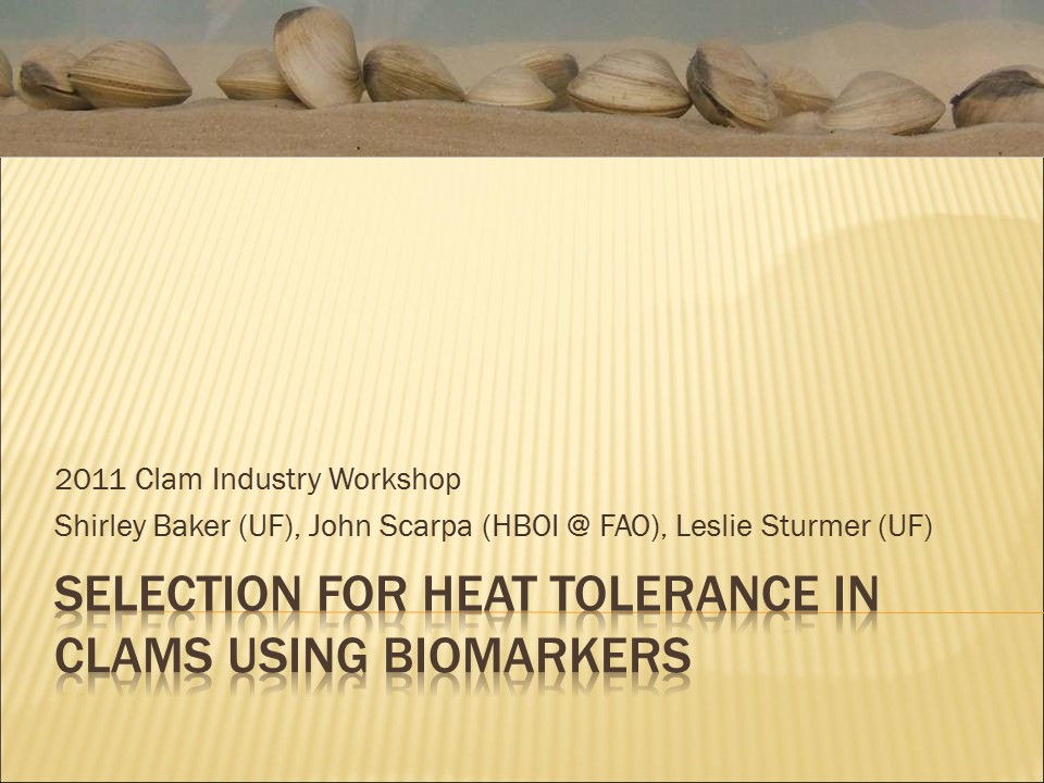 Selection for Heat Tolerance in Clams Using Biomarkers PICTURE