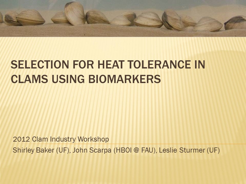 Selection for Heat Tolerance in Cultured Clams using Biomarkers PICTURE