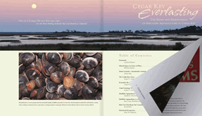 Cedar Key Everlasting, an interactive flipbook