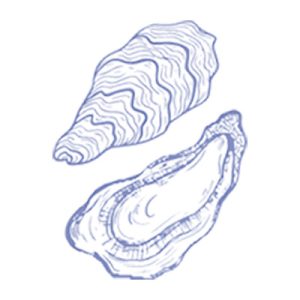 oyster