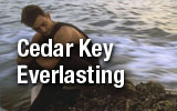 Cedar Key Everlasting