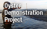Oyster Demonstration Project