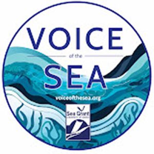 Voice of the Sea